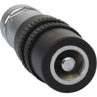 Sproeilans - verstelbaar - Vikan