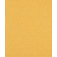 Schuurvel C470 Wood and Paint 230 x 280 mm - Bosch