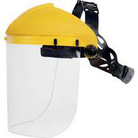 Gelaatsscherm kleurloos polycarbonaat - Delta plus