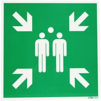 Fotoluminescent bord - Verzamelpunt - Hard