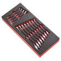 Schuimmodule van 12 ratelringsteeksleutel in inch