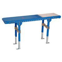 Gemotoriseerde rollenbaan Ergo 30 - met transportband breedte 300 mm