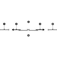 1 - sluitpaneel2 - schuifdeur links3 - schuifdeur rechts4 - sluitpaneel5 - buitenzijde ruimte6 - binnenzijde ruimte