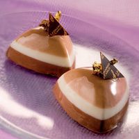 Vorm voor saffiervorm Flexipan