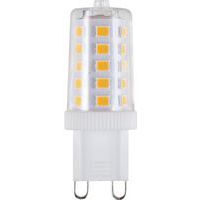 Compacte ledlamp G9 T16/T17/T18 niet-dimbaar - SPL
