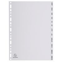 Tabblad bedrukt tabs grijs pp 12 tabs jan/dec A4 Exacompta