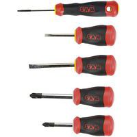 Set van 5 schroevendraaiers S1 Tom_inch Sleuf en Philips - Sam