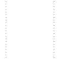 Listingblad 240x11 2 zijden afscheurbare Caroll banden 70g 2000 vel