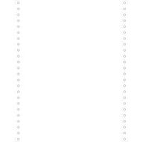 Listingblad 240x12 4 zijde afscheurbare Caroll banden 80g 2000 vel