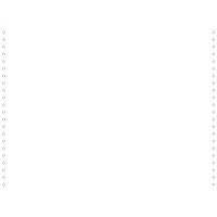 Listingblad 380x11 2 zijden afscheurbare Caroll banden papier 2000vel