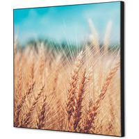 Wanddecoratie Textiel SET Graanveld  - Showdown