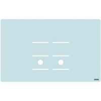 Veiligheidsscherm voor monitor - Desq