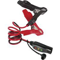 Set F2 - Flash met laadstatus/klemmen 0,56 m - GYS