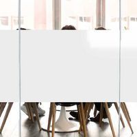 Raamfolie - ondoorzichtig, wit - Luminis