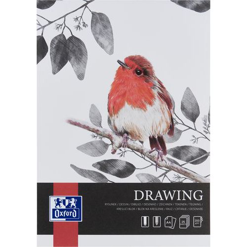 Tekenblok Drawing Art met rug A4 25 p. 200 g - Oxford