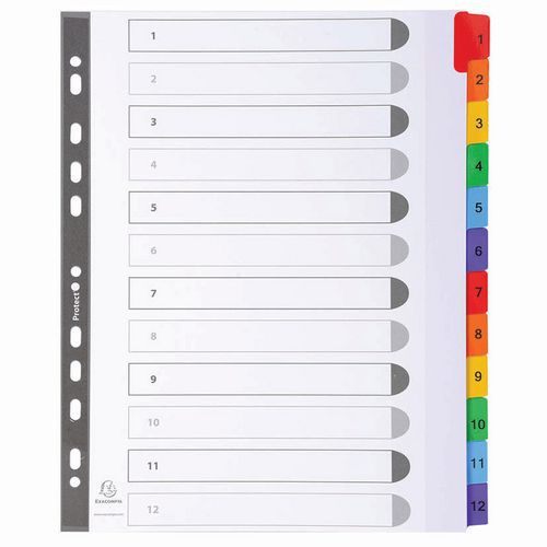 Tabblad met verstevigde tabs wit karton A4+ - Exacompta