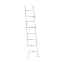 Ladder Professioneel enkelvoudig - Solide