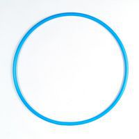 Hoepel en slalomstok