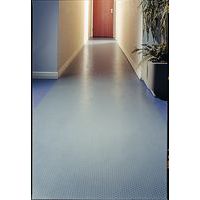 Mat met noppen PVC Flexi Coin - grote noppen - op rol - Plastex, foto 3 van 3